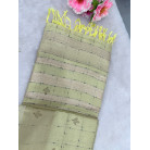 Pastel Pistachio Green Raw Cotton Saree with Metallic Checks, Gold Zari Border & Beaded Motifs